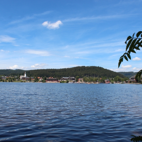 Urlaub im Schwarzwald (15)